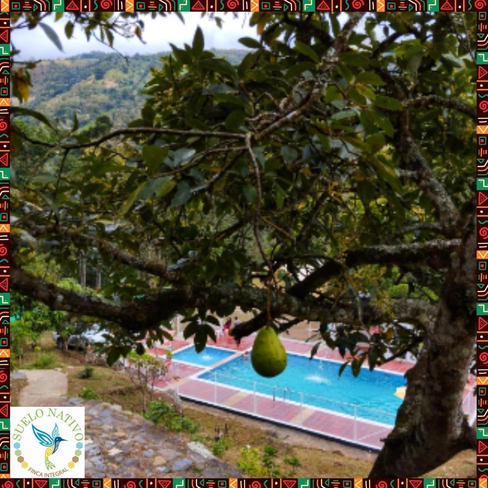 Hotel Finca Integral Suelo Natiivo "Integramos El Campo Con Tu Bienestar" Guaduas Exterior photo