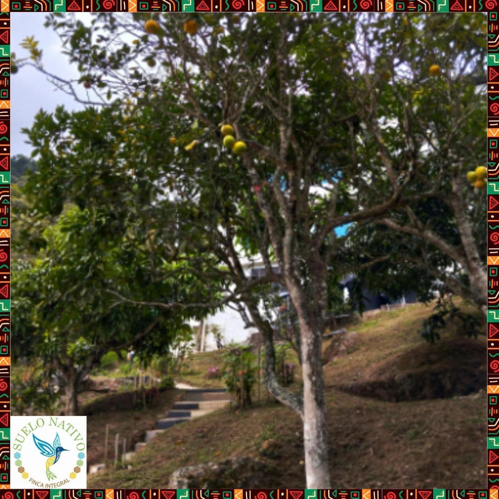 Hotel Finca Integral Suelo Natiivo "Integramos El Campo Con Tu Bienestar" Guaduas Exterior photo
